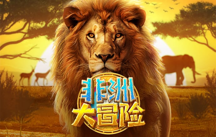 bob体育平台